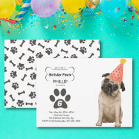 Geburtstagsparty, Mops, Hund Party