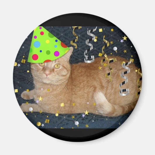 Geburtstagsparty Orange Tabby Cat Magnet (Vorne)