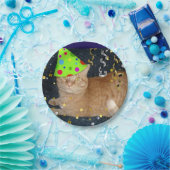 Geburtstagsparty Orange Tabby Cat Pappteller (Party)