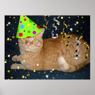 Geburtstagsparty Orange Tabby Cat Poster