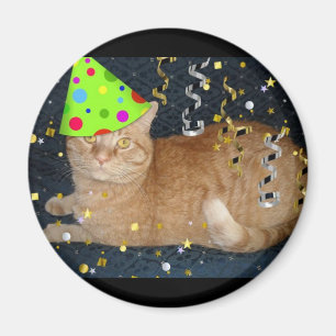 Geburtstagsparty Orange Tabby Magnet