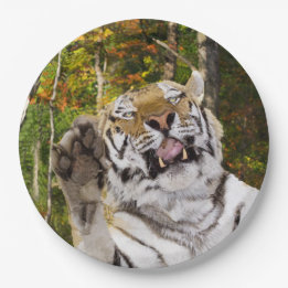 Geburtstagsparty Plate Pappteller