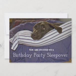 Geburtstagsparty Sleepy Dog Sleepover Einladung