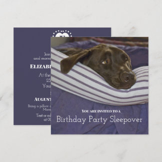 Geburtstagsparty Sleepy Dog Sleepover Einladung