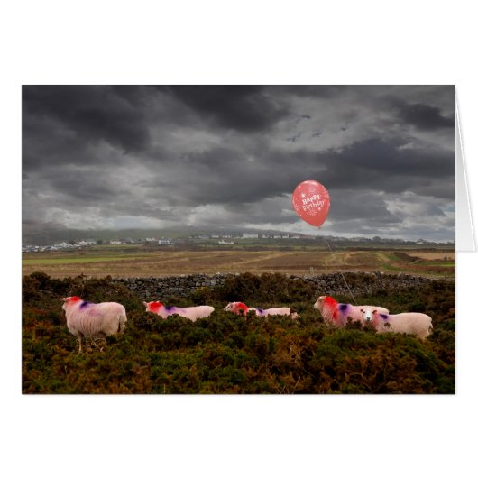 Geburtstagsschaf (Vorderseite (Horizontal))