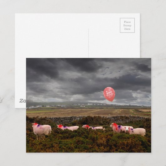 Geburtstagsschaf Postkarte (Vorne/Hinten)