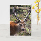 Geburtstagstag Karte (Gelbe Blume)