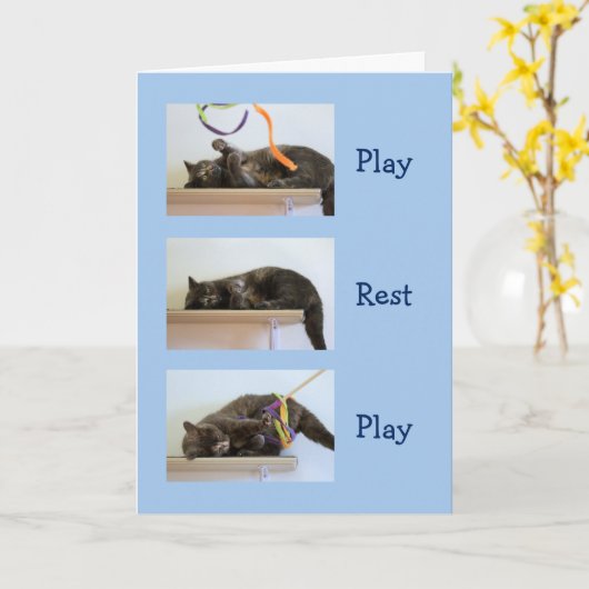 Geburtstagswünsche für Katzen Karte (Gelbe Blume)