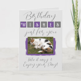 Geburtstagswünsche hinzufügen Katzengrau Foto lila Karte