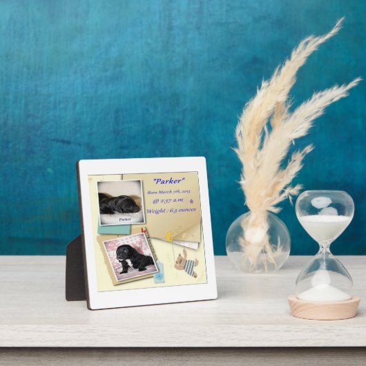 Geburtsurkunde für Parker Fotoplatte (InSitu)