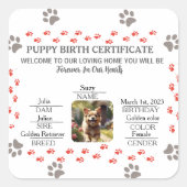 Geburtsurkunde für Puppy Quadratischer Aufkleber (Vorderseite)