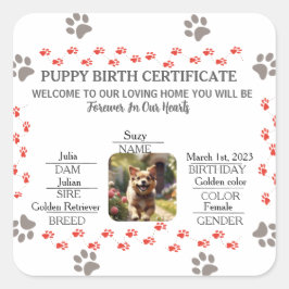 Geburtsurkunde für Puppy Quadratischer Aufkleber