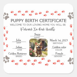 Geburtsurkunde für Puppy Quadratischer Aufkleber