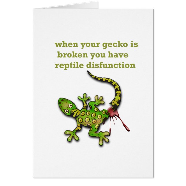 Gecko (Vorne)