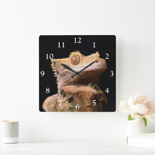 Gecko auf der schwarzen, großen Uhr (Zuhause)