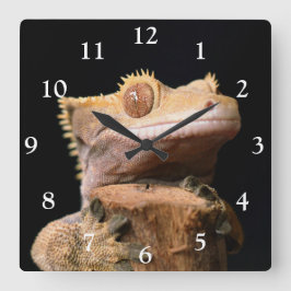 Gecko auf der schwarzen, großen Uhr