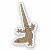 Gecko Aufkleber (Vorderseite)