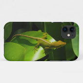 Gecko Case-Mate iPhone Hülle (Rückseite (Horizontal))