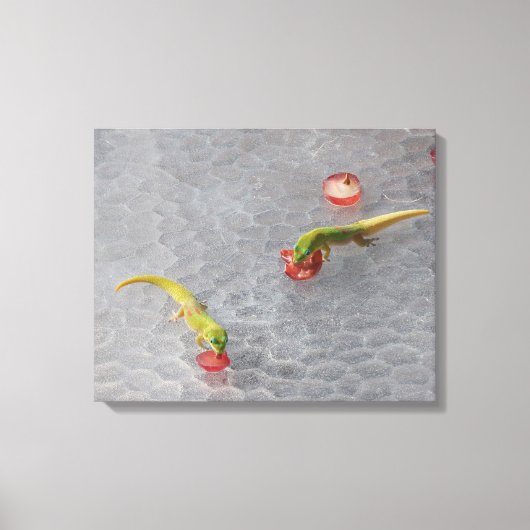 Gecko Cocktailstunde zweiteiliges Leinwand Set (Vorderseite)