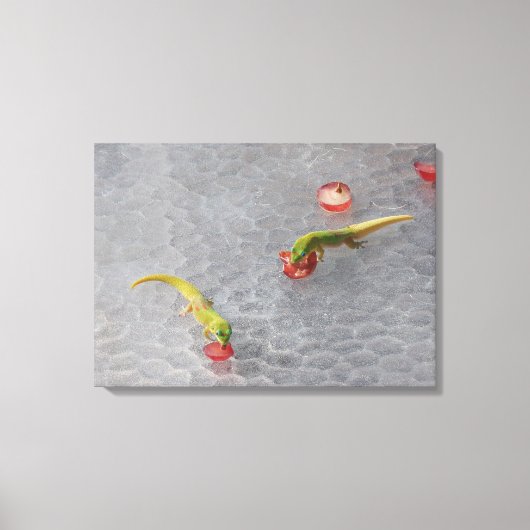 Gecko Cocktailstunde zweiteiliges Leinwand Set (Vorderseite)