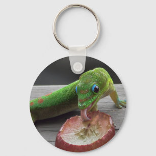 Gecko Eating Trauben Schlüsselanhänger