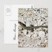 Gecko-Echse Postkarte (Vorne/Hinten)