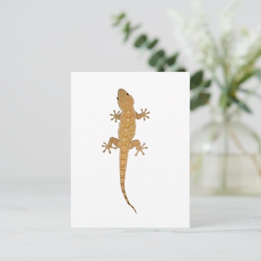 Gecko-Eidechse Postkarte (Stehend Vorderseite)