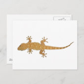 Gecko-Eidechse Postkarte (Vorne/Hinten)