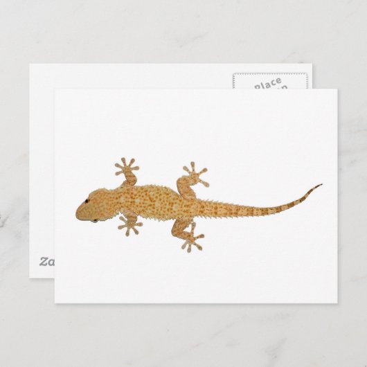 Gecko-Eidechse Postkarte (Vorne/Hinten)