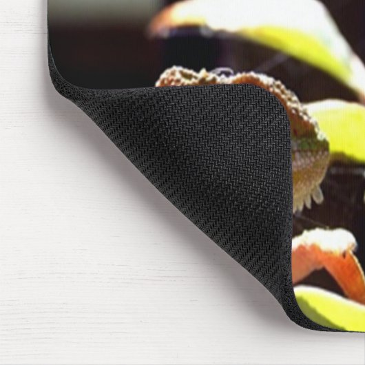 Gecko-Eidechsen und Chameleons Mousepad (Ecke)