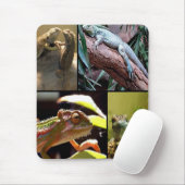 Gecko-Eidechsen und Chameleons Mousepad (Mit Mouse)