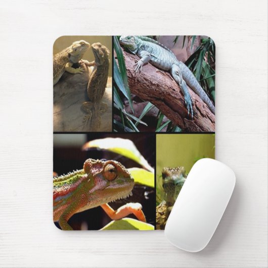 Gecko-Eidechsen und Chameleons Mousepad (Mit Mouse)
