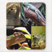 Gecko-Eidechsen und Chameleons Mousepad (Vorne)