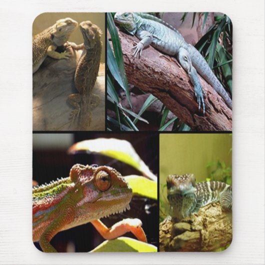 Gecko-Eidechsen und Chameleons Mousepad (Vorne)