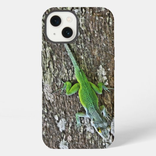 Gecko-Fall iPhone Hülle (Rückseite)