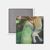 Gecko Feet Magnet (Vorderseite/Rückseite)