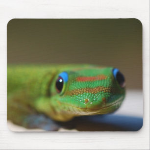 Gecko-Freund Mousepad