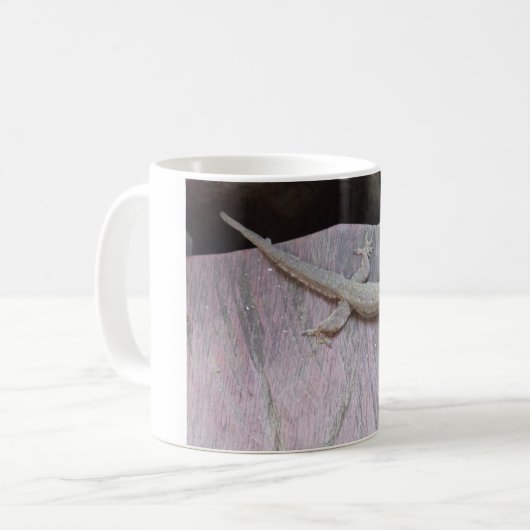 Gecko-Gebiet Kaffeetasse (Vorderseite Links)