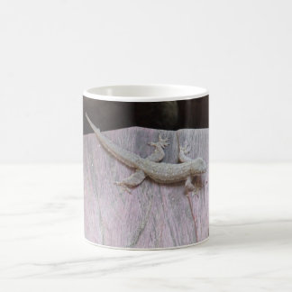 Gecko-Gebiet Kaffeetasse