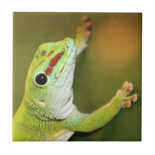 Gecko-Gesicht Fliese