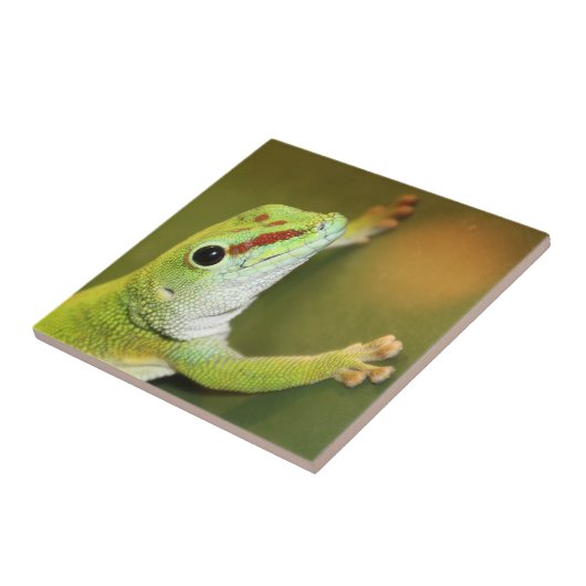 Gecko-Gesicht Fliese (Seite)