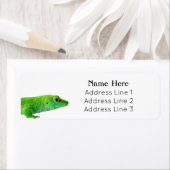 Gecko - Grandis Rücksendeadresse (Insitu)