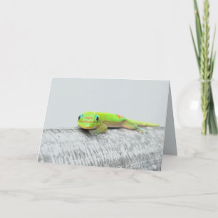 Gecko Grußkarte für jeden Anlass Karte