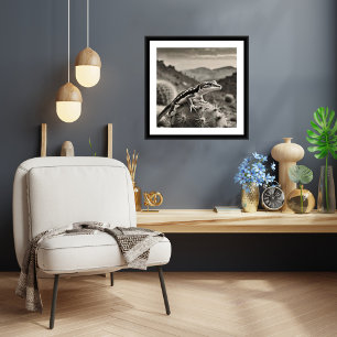 Gecko - Kunstdruckerei Poster