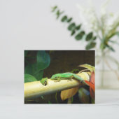 Gecko-Liebe-Postkarte Postkarte (Stehend Vorderseite)