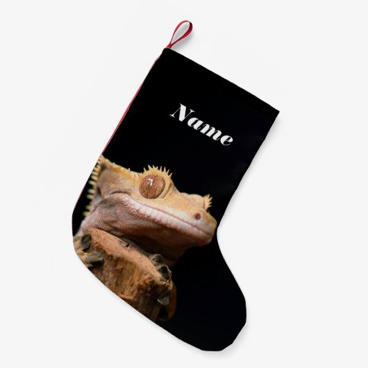 Gecko Lizard auf schwarz Kleiner Weihnachtsstrumpf (Vorderansicht (hängend))