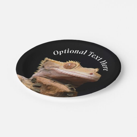 Gecko Lizard auf schwarz Pappteller (Schrägansicht)