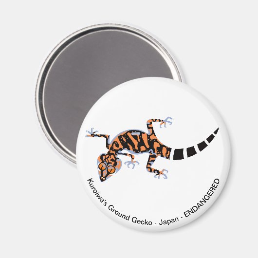 Gecko - Magnet (Vorderseite/Rückseite)