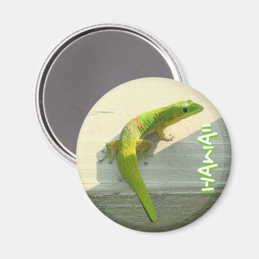 Gecko-Magnet Magnet (Vorderseite/Rückseite)