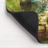 Gecko Mousepad (Ecke)